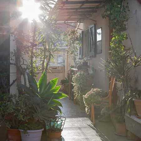 H11 Nido Del Gabbiano Centro - Appartamento *